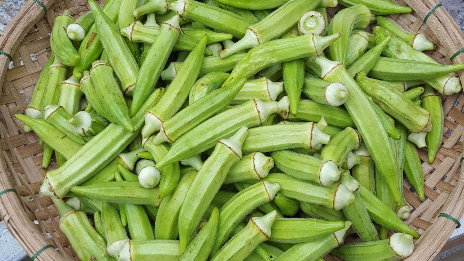 Đậu bắp sạch - Kg